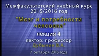 В.А.Дубынин. Лекция 4. Мозг и страх.