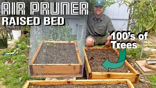 Air Pruner Bed. DIY. Grow 100's of Trees.