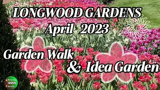 2023 April Longwood Gardens Garden Walk/Idea Garden 4K #spring #tulips #botanicalgarden