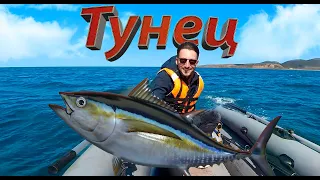 Самая крутая рыбалка!!! | 3 незабываемые поклёвки тунца за один день