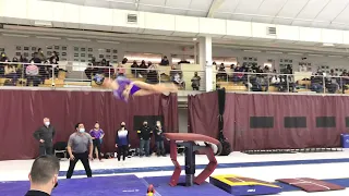 9.5 vault from Brestyan’s Invitational