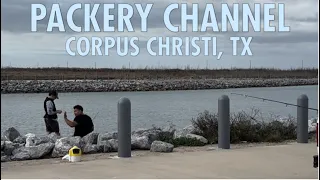 Packery Channel 2/2/24 Friday Corpus Christi Texas