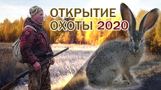 Открытие охоты на зайца 2020! День второй!