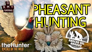 Pheasant hunting in Mexico NEW MAP (theHunter call of the wild)