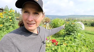 Early Morning BULK Canning | Pressure Canning Meat and Tips | Beautiful Garden Walk