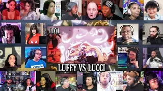 Luffy VS Lucci Fight Reaction Mashup | One Piece Episode 1101