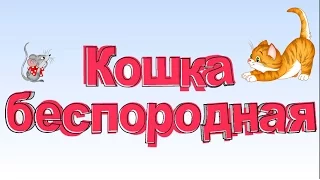 Детские песни. Смотреть песни для детей. 🐈Песня Кошка беспородная. Красивый клип песни для малышей.