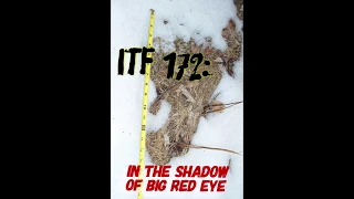 iTF 172: In the Shadow of Big Red Eye