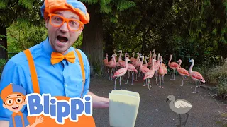 Playing At The Zoo - Blippi Feeds and Plays With the Animals| Moonbug Kids TV Shows - Full Episodes