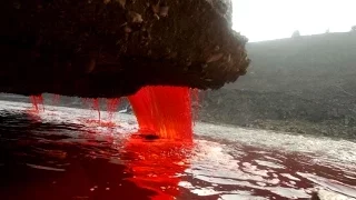 Mystery of Antarctica's Blood Falls finally solved HD