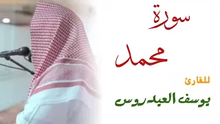 سورة محمد كاملة للقارئ يوسف العيدروس