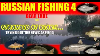 RUSSIAN FISHING 4 - BEAR LAKE - Stranded Naked and AFRAID!! But with a new Carp Rod..