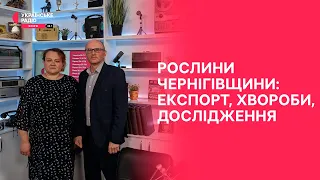 Чому нашу картоплю не хочуть брати в ЄС | Праймвечір. Акценти