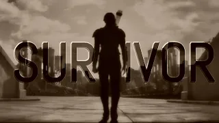 Apocalyptic/Dystopian Multifandom - Survivor