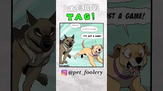 Tag game gets taken TOO seriously | Pixie and Brutus #funny #pets #cute #comic #dub