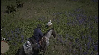 Dutch Warmblood Courage. Red Dead Redemption 2 Horses.