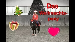 DAS WEIHNACHTSPONY ♥ | Marina und die Ponys