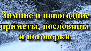 Зимние приметы и новогодние приметы а также пословицы и поговорки про зиму.