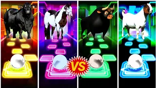 Funny Cow 🆚 Funny Horses 🆚 Ferdinand 🆚 Funny Goat.Who In The Best👍Coffin Dance Song🎼