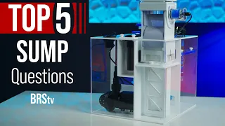 Better Than an Aquarium Canister Filter? Saltwater Tank Sumps & HOW They Work!