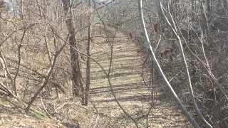 Abandoned Railroad In Perkinsville, NY