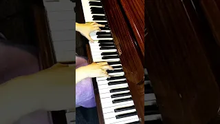 All The Things She said Piano cover. Tiktok Song. ​t.A.T.u. #piano #shorts #tiktok