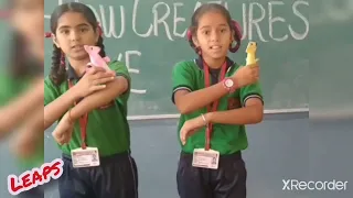 TOY BASED PEDAGOGY CLASS 3 ( HOW CREATURES MOVE) ENGLISH