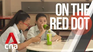 CNA | On The Red Dot | S7 E11: Growing up in a super-sized family