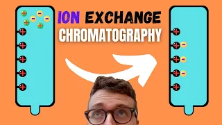Introduction to Ion Exchange Chromatography (IEX)
