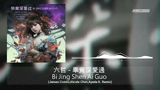 六哲 - 畢竟深愛過 Bi Jing Shen Ai Guo (James Cozmo,Nicole Chen,Ayeda K. Remix)