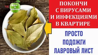 Зачем я сжигаю каждый день по листочку лаврового листа в своей квартире?