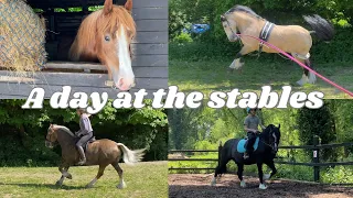 SPEND A DAY AT THE YARD WITH ME VLOG | exercising all the horses | show prep for a county horse show