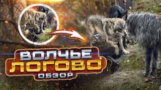 Волчье логово. Обзор