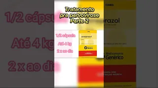 Tratamento pra Parvovirose ( Parte 2 )