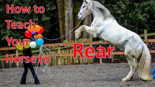 How to Teach You Horse to Rear