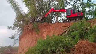 PINDAD Excavator Falling Bamboo for Road Construction - Excavator Works - 4K