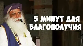 5 минут для Благополучия и Умиротворения - Садхгуру видео на Русском