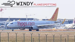 Extreme Winds! - Planespotting At Belgrade Airport | Classic Pegasus 737, Qatar A330 + More | 4K