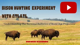 Bison Hunting Experiment With Atlatl