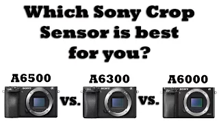 Sony A6500 vs. A6300 vs. A6000- Which Sony Crop Sensor Body is BEST for You?