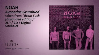 NOAH - "Avocados Grumbled" taken from "Brain Suck (Expanded Edition)" 2LP / CD / Digital (Guerssen)