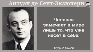 Антуан де Сент Экзюпери | Потрясающие Цитаты, Афоризмы, Мудрые Мысли