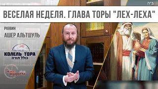 Веселая неделя. Недельная глава Торы "Лех-Леха"