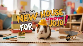 Hamster JoJo new house under process | @SecretLifeofmyHamster
