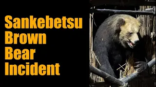 Sankebetsu brown bear incident