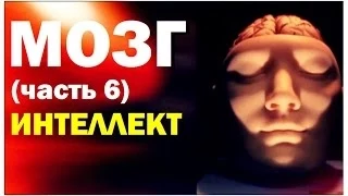 Галилео. Мозг (ч.6): Интеллект