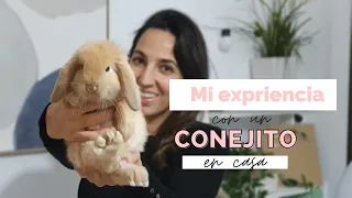 Mi experiencia con un conejo en casa🐰 | LIMPIEZA exprés, ORGANIZACIÓN, alimentación...