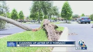 Cleaning up after EF-0 tornado