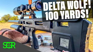 Daystate Delta Wolf .25 CAL 50 and 100 YARDS ACCURACY TEST/DEMO with 33.95 grain JSB