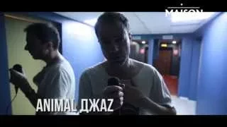 Концерт ANIMAL ДЖАZ_26.11.2014 @ MAISON club_Тольятти